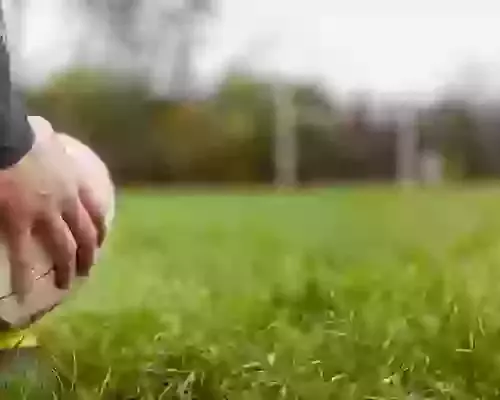 Why do you love rugby?